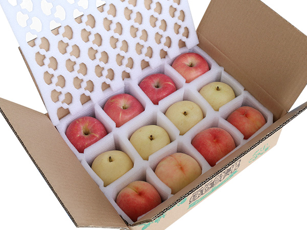 EPE發(fā)泡過程多物理場耦合仿真模型驗證方法